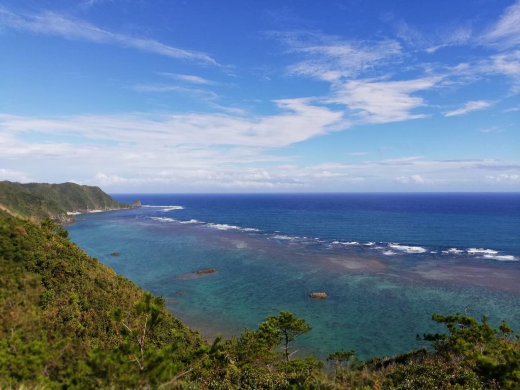 沖縄ジュゴンの見える丘