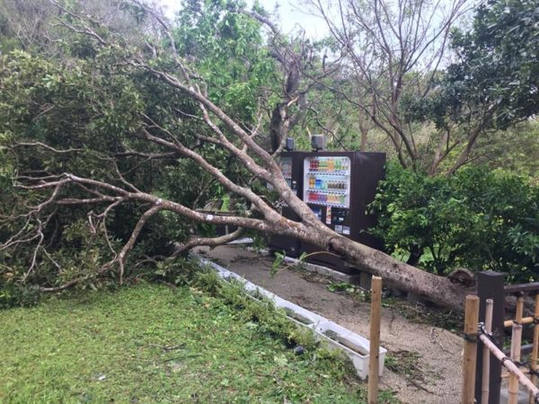 台風被害